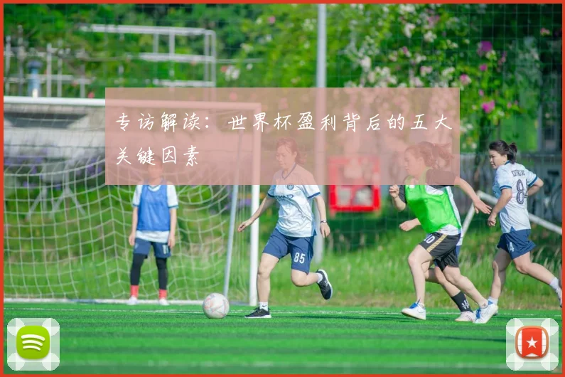 专访解读：世界杯盈利背后的五大关键因素