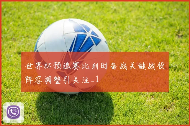 世界杯预选赛比利时备战关键战役阵容调整引关注_1